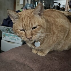 オヅノ氏、風呂に落ちた?!