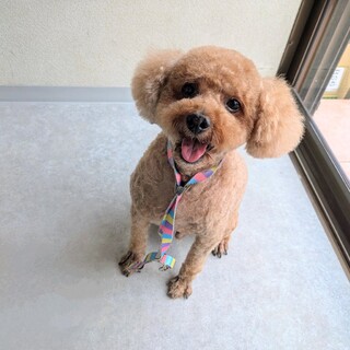 一度、会ってもらえる方