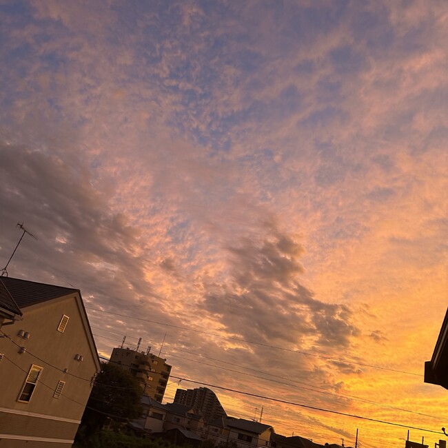 らん*のカバー写真