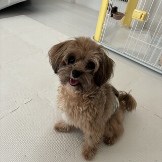 お散歩大好き♡甘えん坊のツルマメくん