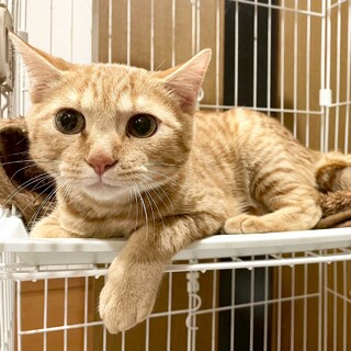 怖がりだけど活発なBOY☆かつくん