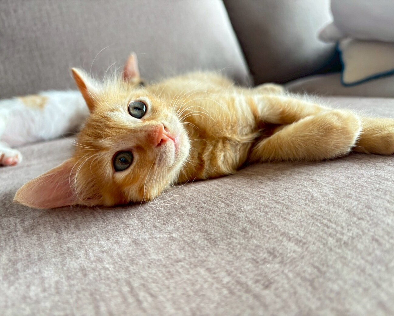 まるで天使なリオウくん サムネイル4