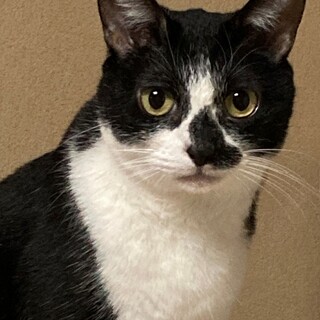 黒白の女の子、カワイイです。