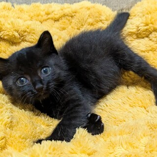 生後1ヶ月かわいい「マリオくん」