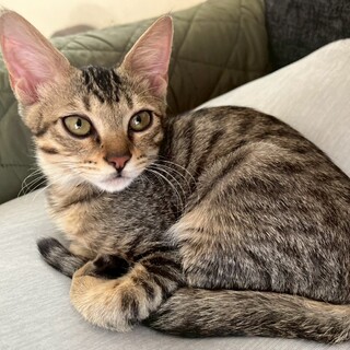 遊ぶの大好き♡可愛すぎるお顔りかおくん☆