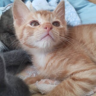 2ヶ月半8月2日生まれです