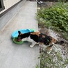の写真