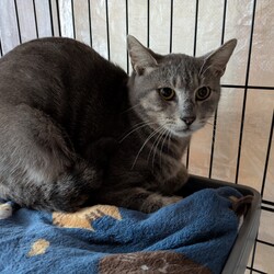 ［はるる君］の去勢手術と譲渡会