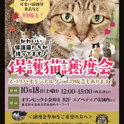 保護猫譲渡会@オリンピック小金井店