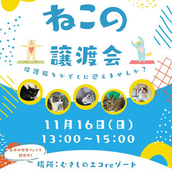 むさしの地域猫の会　譲渡会