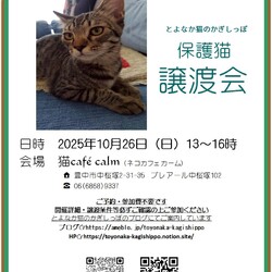 ◎大阪府豊中市・10月26日(日)保護猫譲渡会開催◎