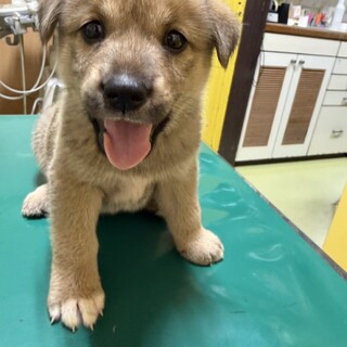 にあ(旧ナミ)ちゃん