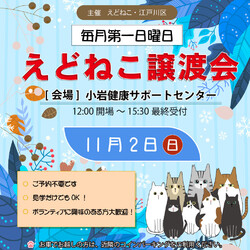 えどねこ譲渡会 江戸川区保健所（小岩健康サポートセンター）