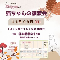 ひらこましっぽの譲渡会（錦糸町 日本動物21）