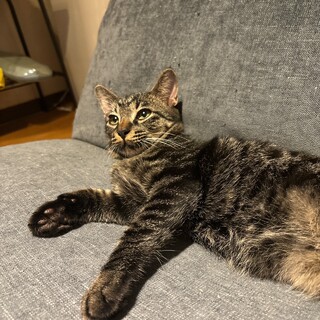 ෆ⃛ちょっとビビりෆ⃛ウリくん