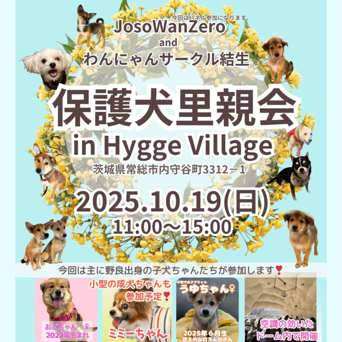 オーダー用パネル スイーツワンコ達 【公式通販】 オーダー用パネル スイーツワンコ達 【公式通販】