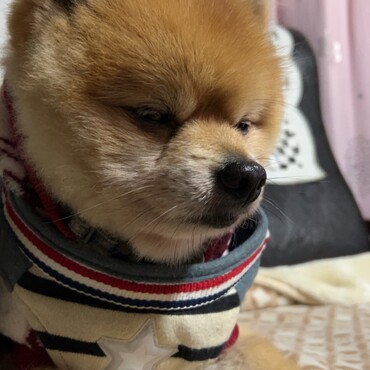 の写真