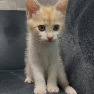 甘えん坊のよっちゃんです♪