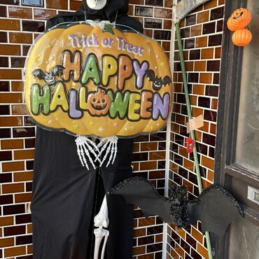 夏物整理が終わり、やっとハロウィンこ飾り付けが完了！