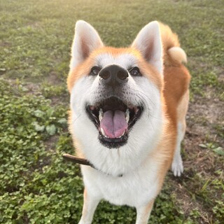 優しさ溢れるせいやくん