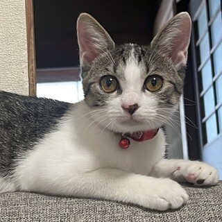 きらきら丸顔の大きな瞳の人大好きな女の子⭐︎