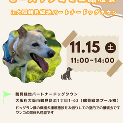 ピースワンコ生駒ミニ譲渡会 in大阪鶴見緑地パートナードッグタウン