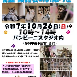 保護ニャンコの譲渡会ｂｙ静岡市清水区