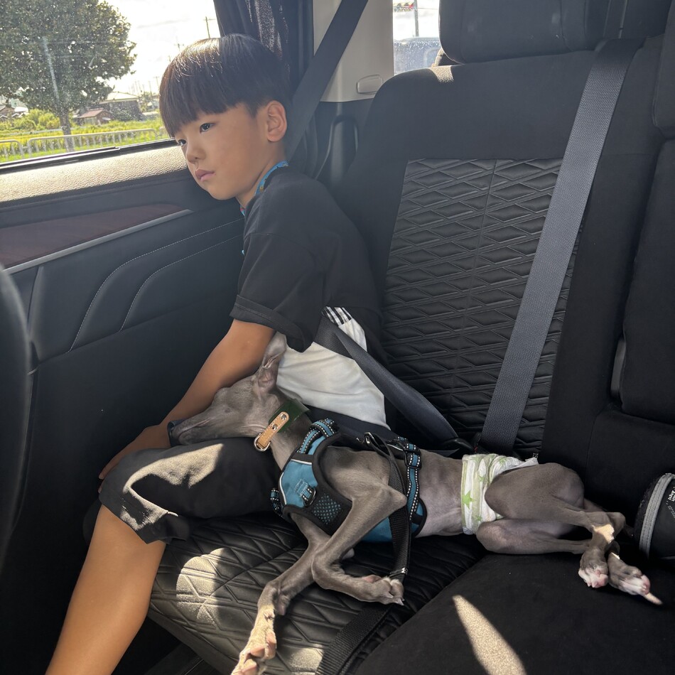 翠(すい)くんのカバー写真