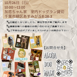 【千葉県】ドッグラン譲渡会（犬）