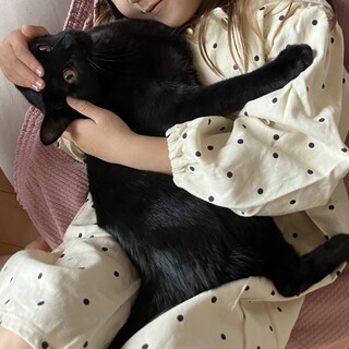 【1019月島】初心者お子様お留守番OK黒猫兄妹