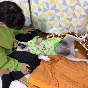 パパの膝枕うっとりぃーぬ
