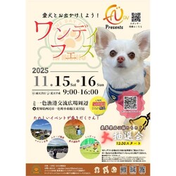 ワンデイフェス