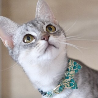 希上♡家族ができました