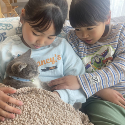 守谷譲渡会(=^ェ^=)