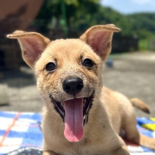 キュートな笑顔のパスタくん