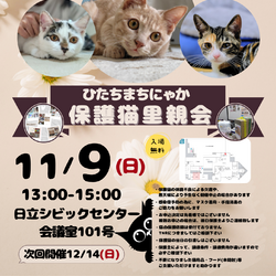 ひたちまちにゃか保護猫里親会