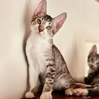 【6/22品川】甘えん坊の男の子