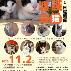 保護猫譲渡会クローバーの会 サムネイル1