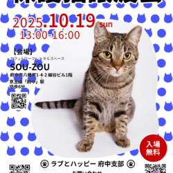 10月19日　ラブとハッピー府中【保護猫譲渡会】