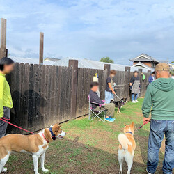 総社市ＡＷＡしつけ教室　＜雨天決行＞