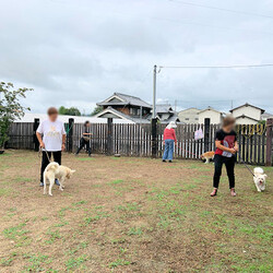 総社市ＡＷＡしつけ教室　＜雨天決行＞ サムネイル3