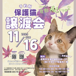 保護猫譲渡会（予約制）