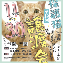 保護猫譲渡会（予約制）