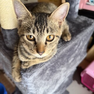 おっとりふわふわのキキちゃん