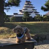 ケンサン&ココチャン