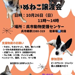 いぬねこ譲渡会