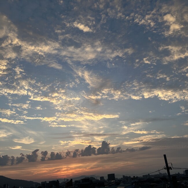 にゃんだわんのカバー写真
