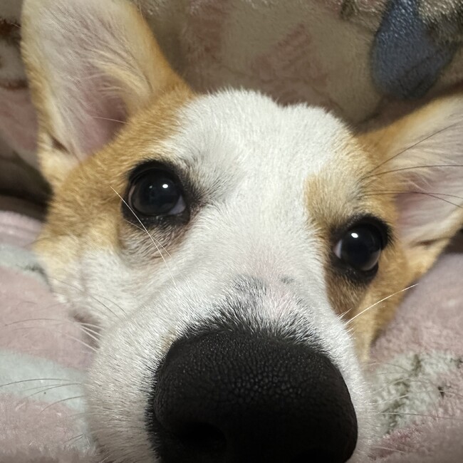 konoka0912のカバー写真
