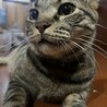 くりばなな