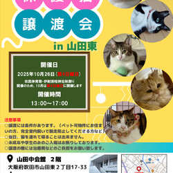 第22回nekomeeting譲渡会